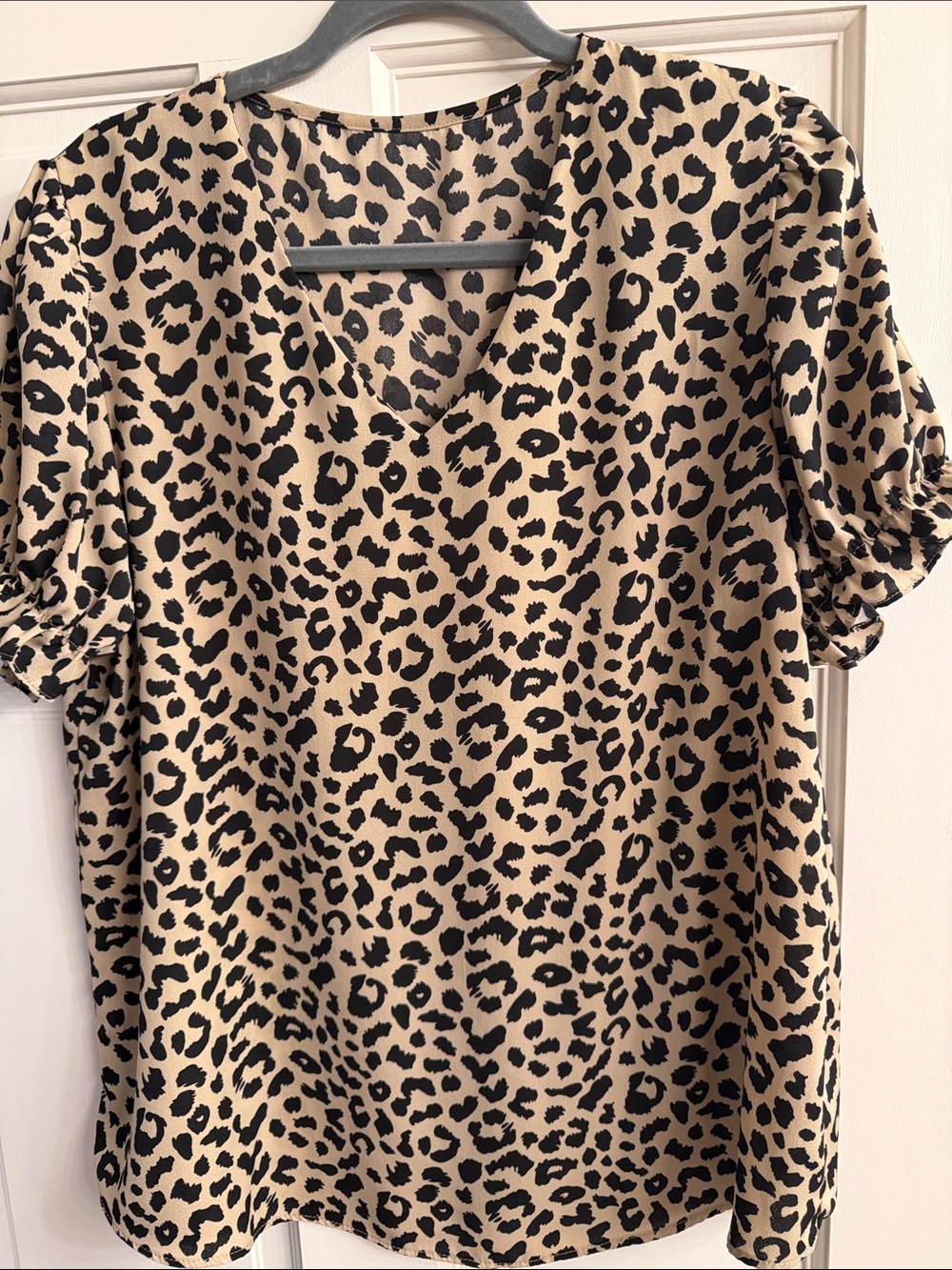Women's Leopard Print V-Neck Blouse - Black on Tan